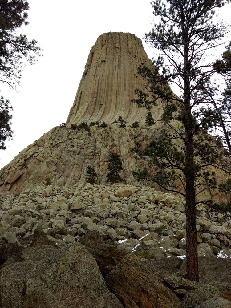 Devil's Tower in Wyoming 