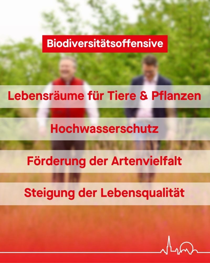 eine Gruppe Männer, die auf einem Feld spazieren gehen