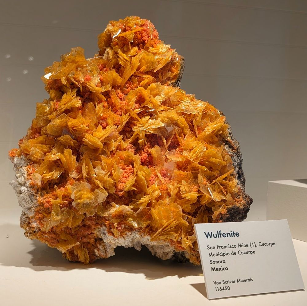 A large hunk of yellow-orange wulfenite composed of many thin, flaky looking blades. Looks kind of like someone fused a bunch of cornflakes together.