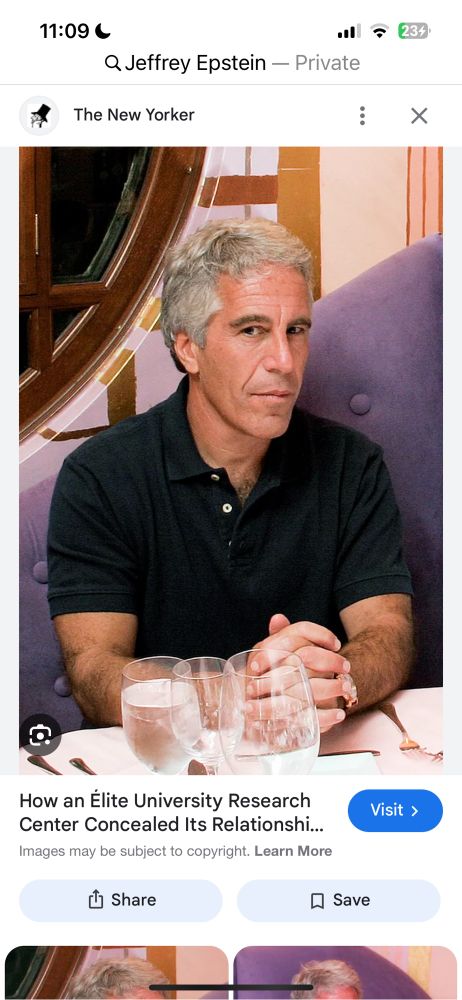 Jeffrey Epstein, profile view