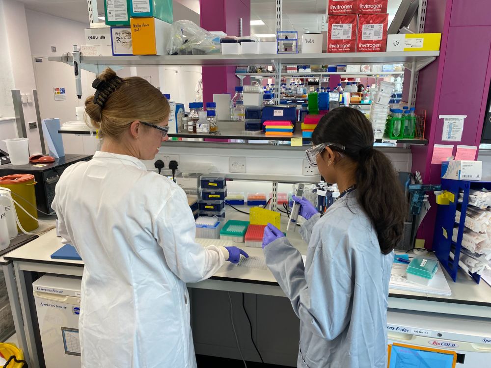 Two people working in a lab with their backs to the camera. One, a researcher at the Rosalind Franklin in a white lab coat pointing at a 96 well plate, the other a work experience student in a blue lab coat on holding a pipette.