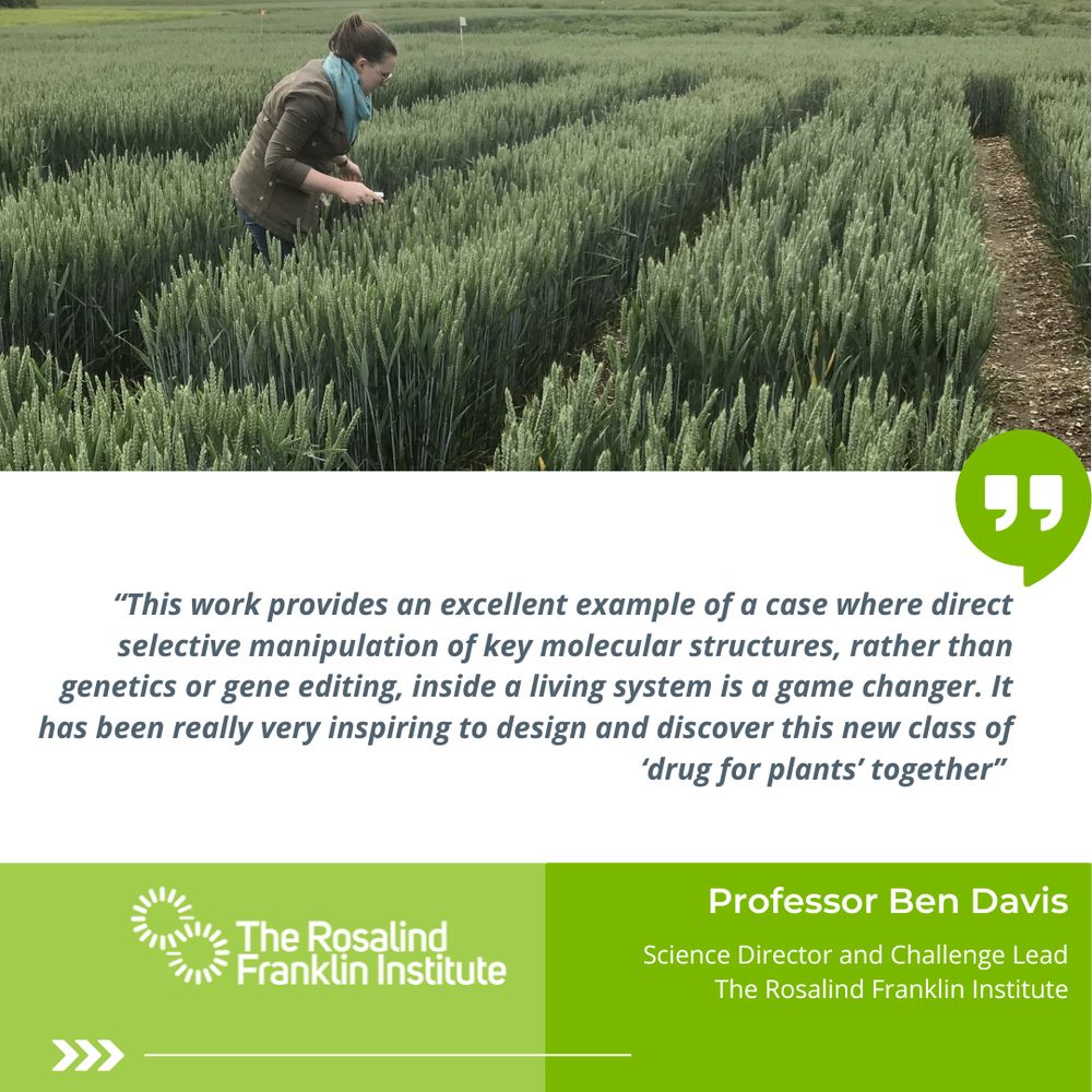“This work provides an excellent example of a case where direct selective manipulation of key molecular structures, rather than genetics or gene editing, inside a living system is a game changer. It has been really very inspiring to design and discover this new class of ‘drug for plants’ together” - Professor Ben Davis, Science Director and Challenge Lead at the Rosalind Franklin Institute