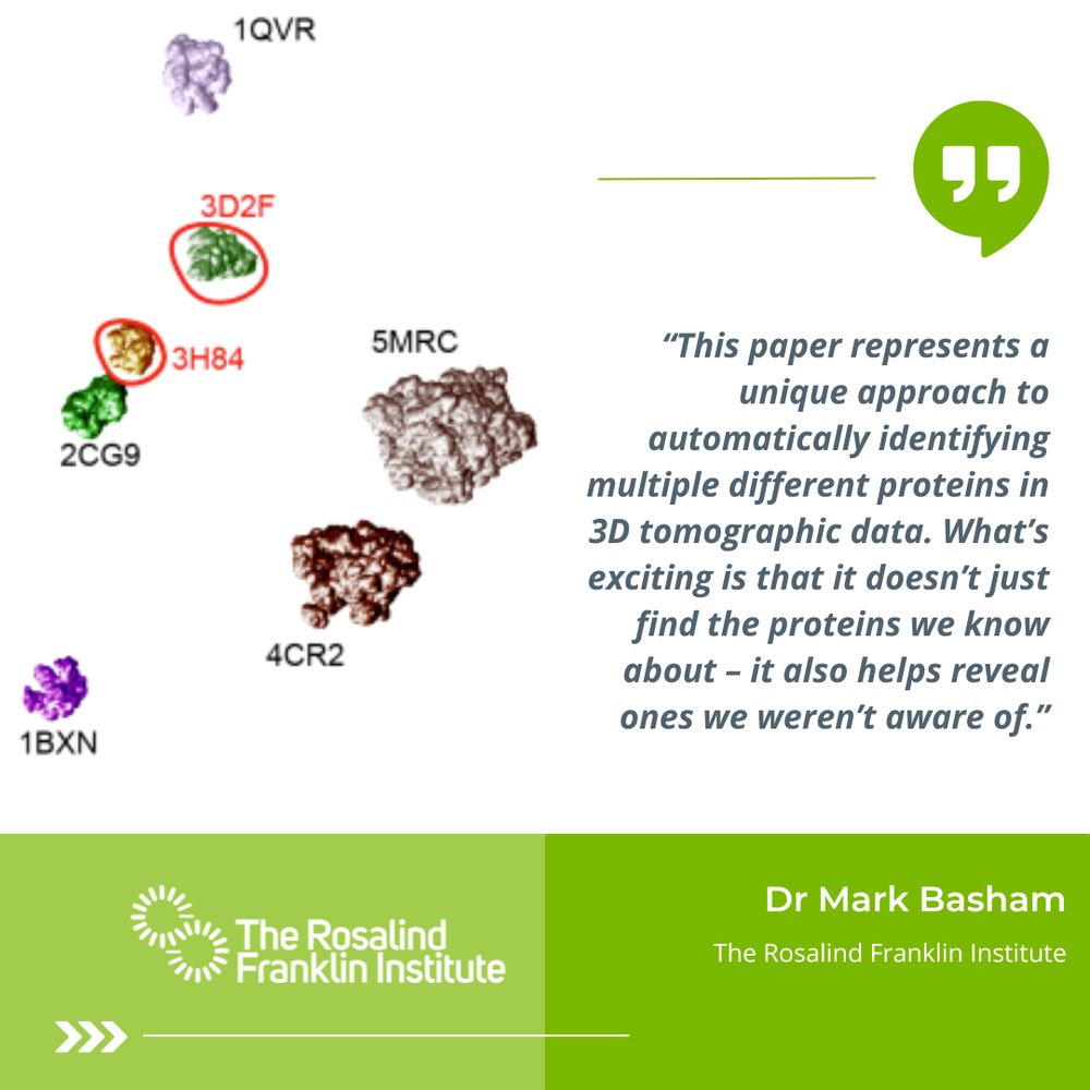 "This paper represents a unique approach to automatically identifying multiple different proteins in 3D tomographic data. What’s exciting is that it doesn’t just find the proteins we know about – it also helps reveal ones we weren’t aware of." Dr Mark Basham, the Rosalind Franklin Institute
