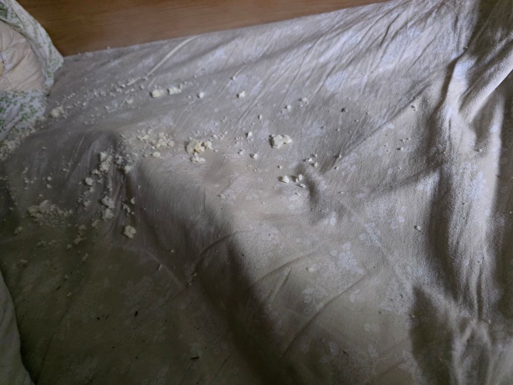 Sheets covered in fine foam crumbs from an exploded pillow