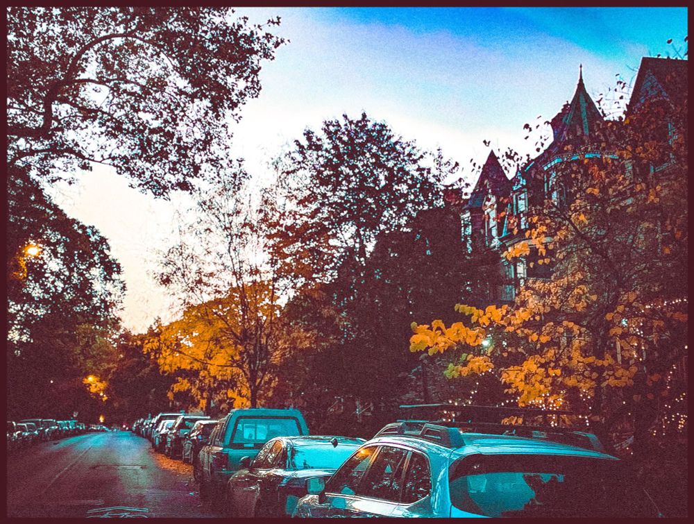 a neighborhood street during autumn 