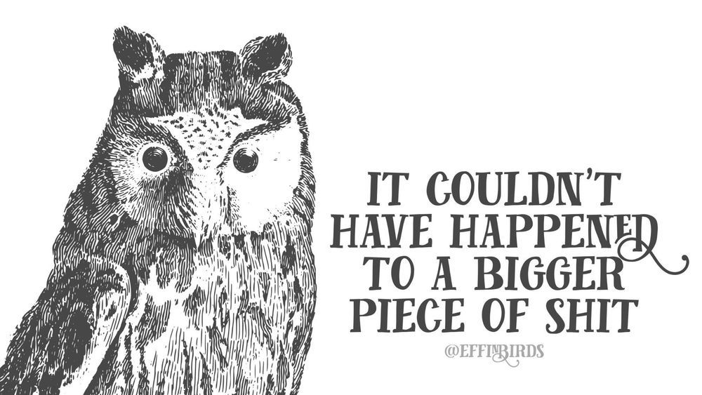 A beautifully drawn owl, looks to be done in pencil, with the owl facing the viewer at a slight angle, from breast-upward. Beautiful typography to the right reads: “It couldn’t have happened to a bigger piece of shit.” By content creator Effin’ Birds.
