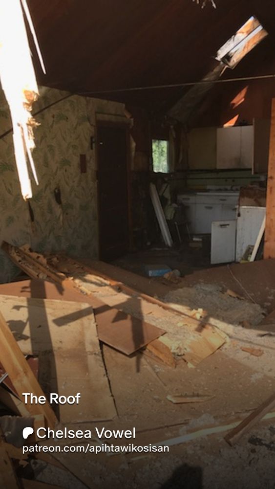A promo image, it's a picture of my old house after my dad drove a bulldozer through it this summer. You can see the wreckage of the side of the house, and through it the grimy tiny little kitchen with its skylight - the subject of this story. The picture is labeled "The Roof" and then has my name and the link to my patreon, which is patreon.com/apihtawikosisan.