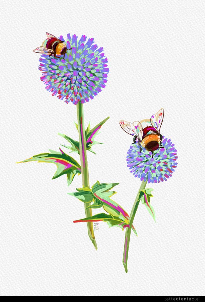 A digital study of two Globe thistles with a bumblebee on each flower in a painterly style.