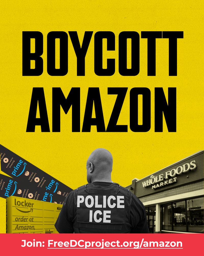 An ICE officer stands with his back to the camera. A Whole Foods store, Amazon Prime shipping labels, and an Amazon locker are in the background. Text reads, 