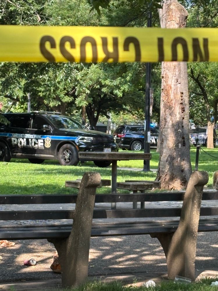 Police cars parked in a park