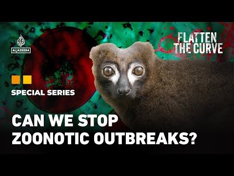 Inside the battle to contain infectious diseases in rainforests and cities | Flatten the Curve | EP3