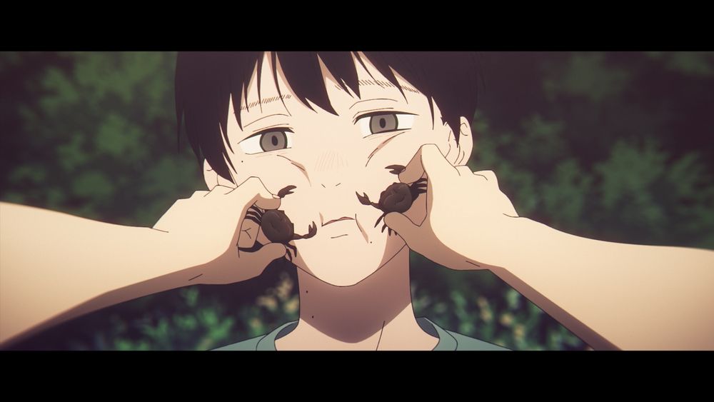 The summer Hikaru died 