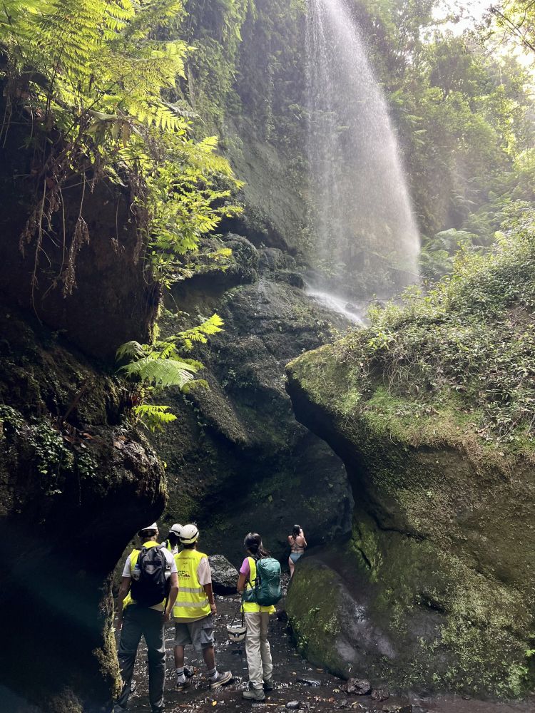 A group of researchers in hi-vis jackets standing in a rocky gorge below a waterfall, in a lush green forest on La Palma.