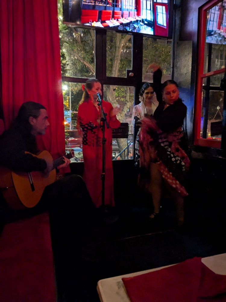 The performers mid-performance during flamenco night