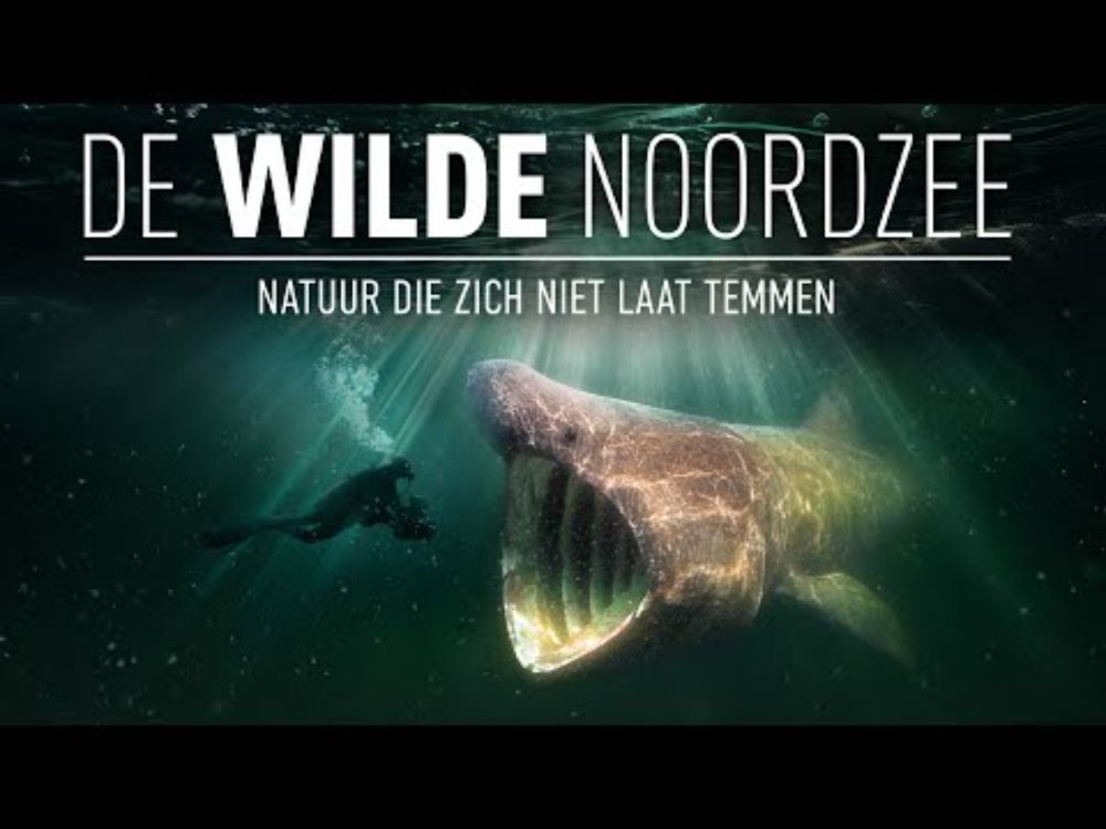 Trailer De Wilde Noordzee (www.dewildenoordzeefilm.nl)