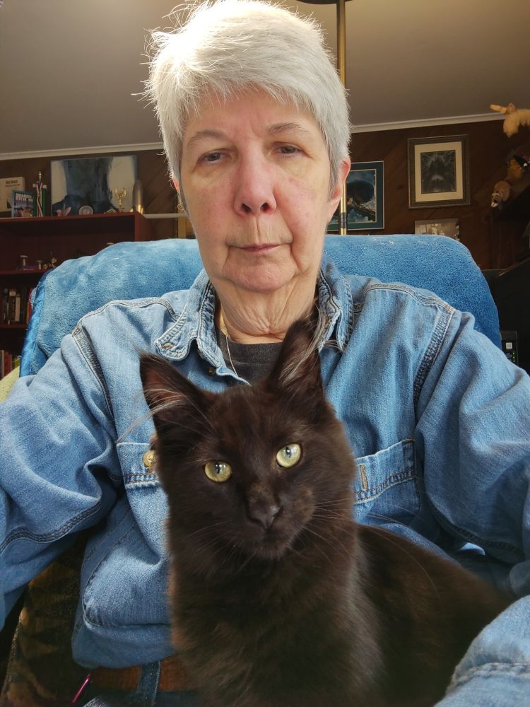 Black Maine coon kitten with peridot eyes daring the camera to Try It on the lap of a tired writer in a denim shirt.