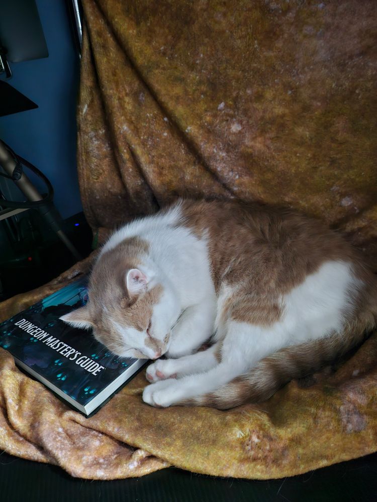 My white and orange cat sleeping on the D&D 2024 Dungeon Master's Guide.