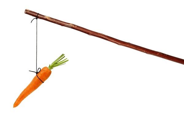 carrot on a string stock image