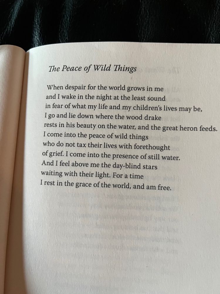 The Peace of Wild Things by Wendell Berry