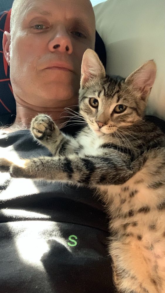 Nico is a cat