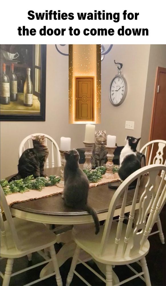 Meme with a caption "Swifties waiting for the door to come down". The image is of cats sitting on a dining table and lookup up at the ceiling where there's the door from Taylor Swift's countdown page.