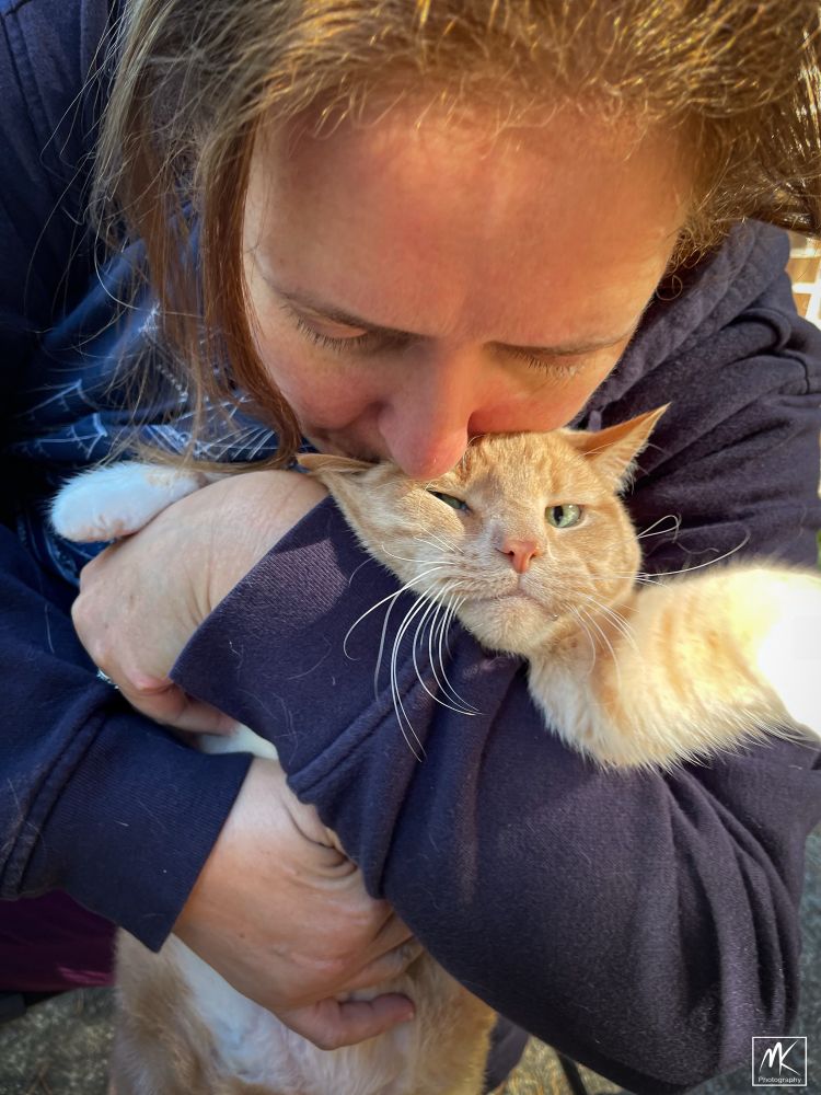 Color photo of a person holding a large ginger tabby cat tightly and kissing the top of its head. The cat does not look amused. 