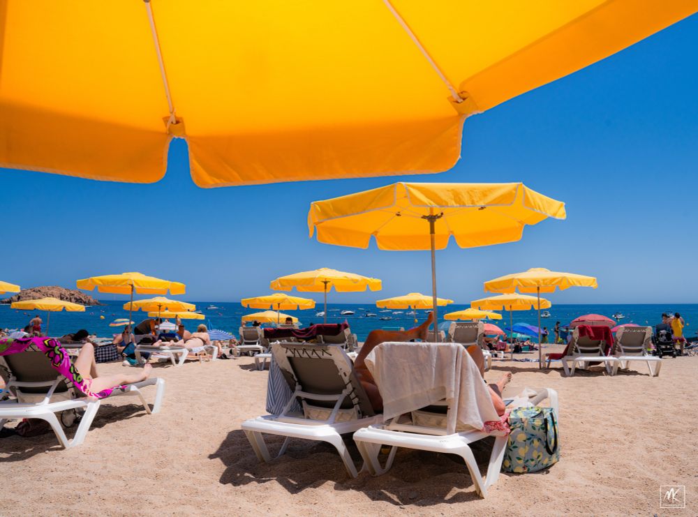 Color photo of a beach scene with many yellow beach umbrellas under a blue sky. 