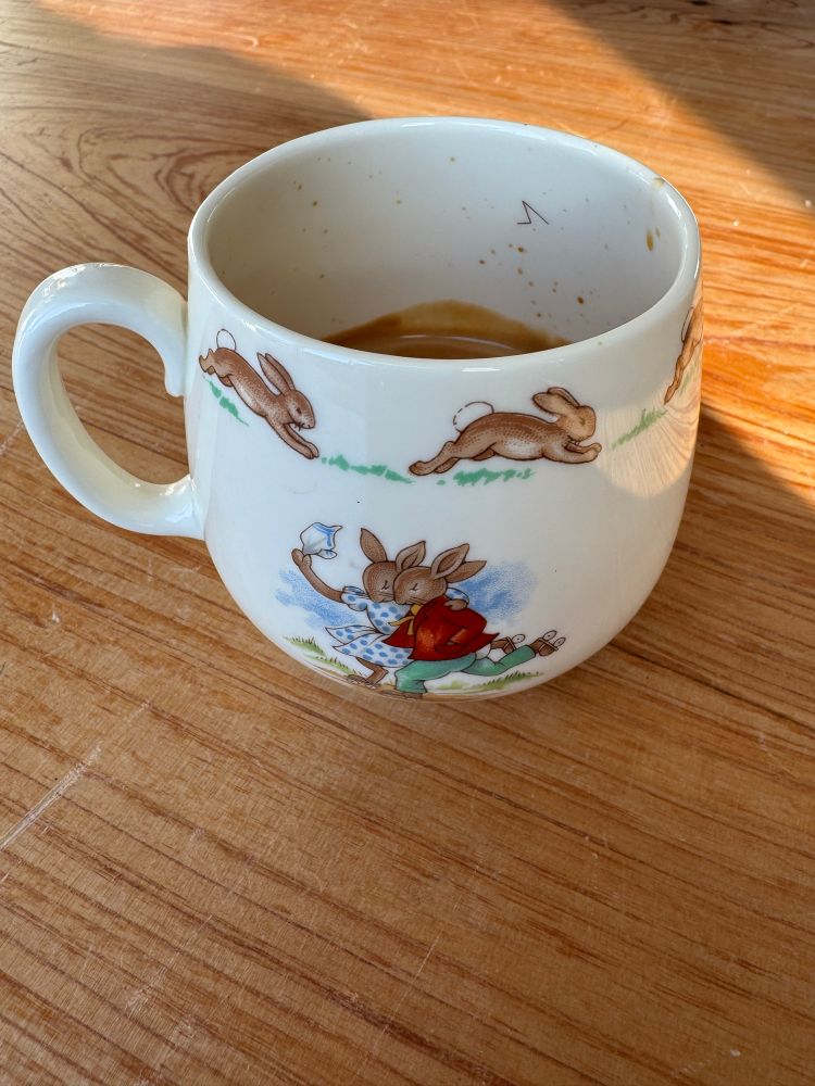 Bunnykins mug with a scene of two bunnies roller skating together. One bunny is dressed fem with a cottage-core white dress with polka dots and carrying a teapot. The other bunny is masc with a red jacket and light green pants. There are three naked bunnies running around the outer lip of the cup as well.