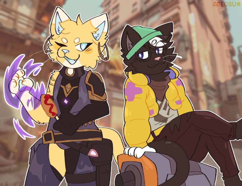 2 cats 