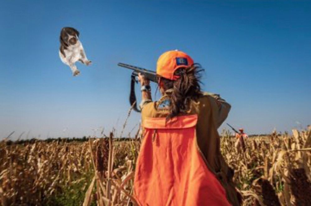 Kristi Norm skeet shooting using her dog Cricket instead of clay