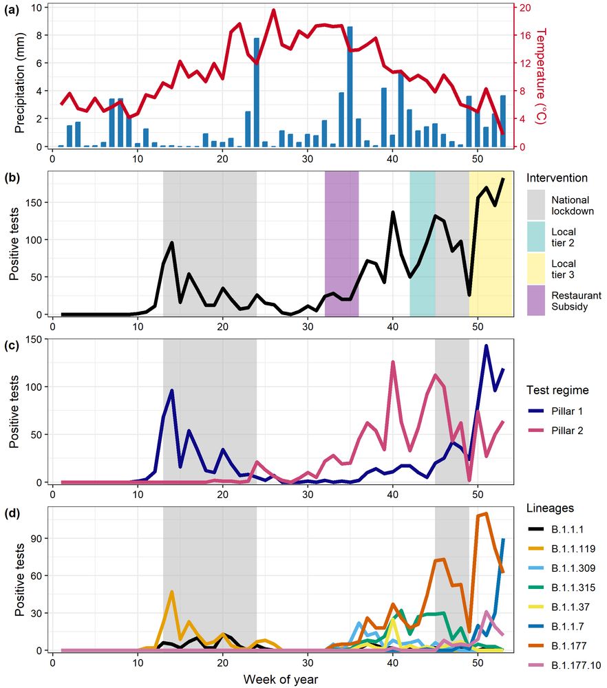 Spatial and temporal epidemiology of SARS-CoV-2 virus lineages in Teesside, UK, in 2020: effects of socio-economic deprivation, weather, and lockdown on lineage dynamics