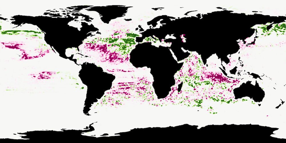 Predicting species distributions in the open ocean with convolutional neural networks