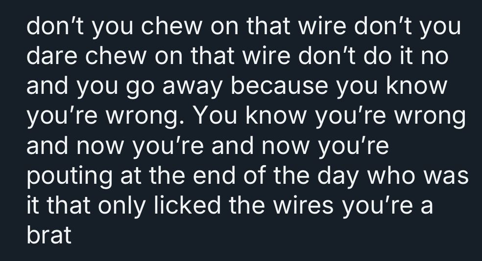 don’t you chew on that wire don’t you dare chew on that wire don’t do it no and you go away because you know you’re wrong. You know you’re wrong and now you’re and now you’re pouting at the end of the day who was it that only licked the wires you’re a brat