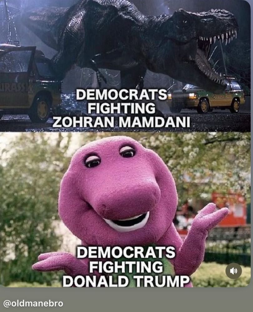 Top of meme: A roaring dinosaur from Jurassic Park with the caption “Democrats fighting Zohran Mamdani”

Bottom of meme: “Barney the purple dinosaur with the caption “Democrats fighting Donald Trump.”