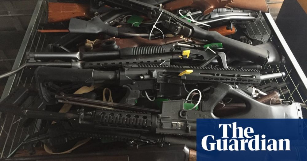 Fears rightwing coalition will unwind NZ gun reforms brought in after Christchurch massacre