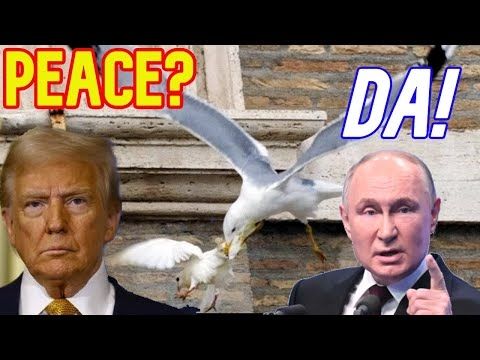Some Thoughts About the 'Peace Talks'