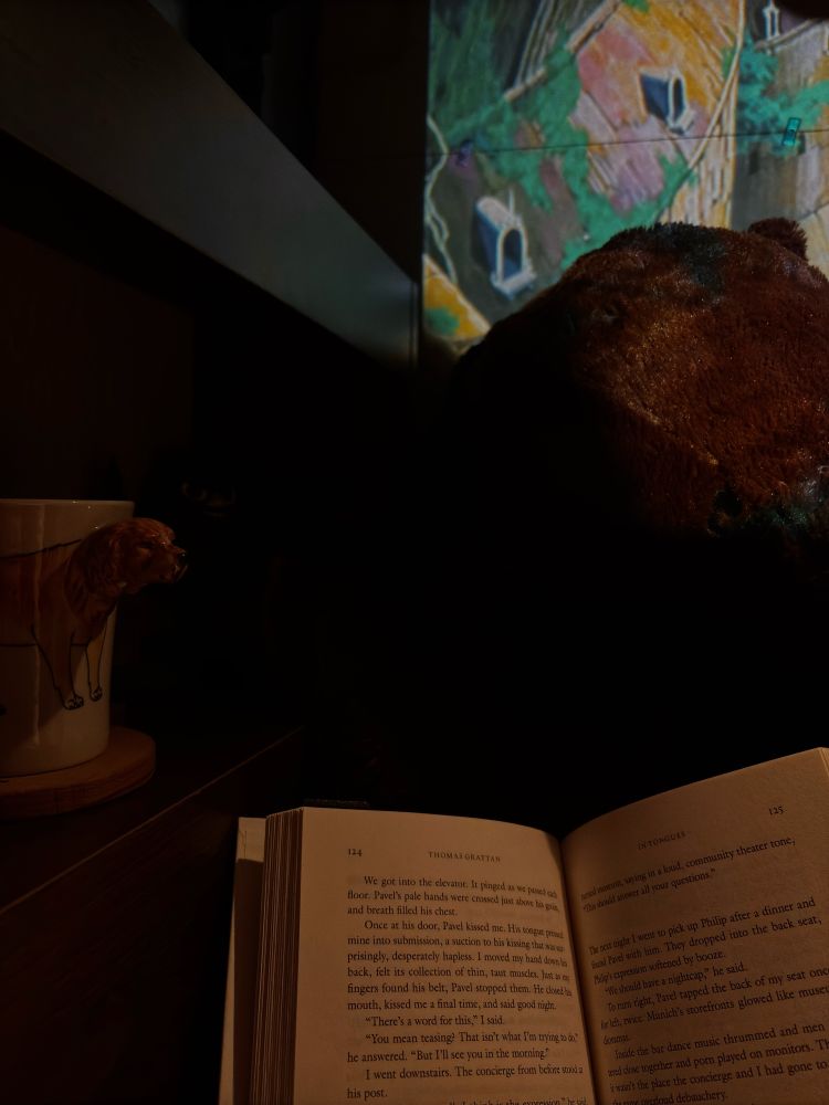 Reading “In Tongues” by Thomas Grattan in bed while listening to studio ghibli music on my projector and drinking Glögg flavored tea!