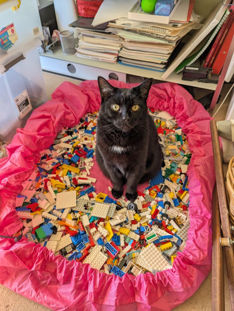 A black cat with a white tuft of fur on his chest is sitting in the middle of a pile of Lego pieces. The Lego is in a large round pink bag which is on the floor.