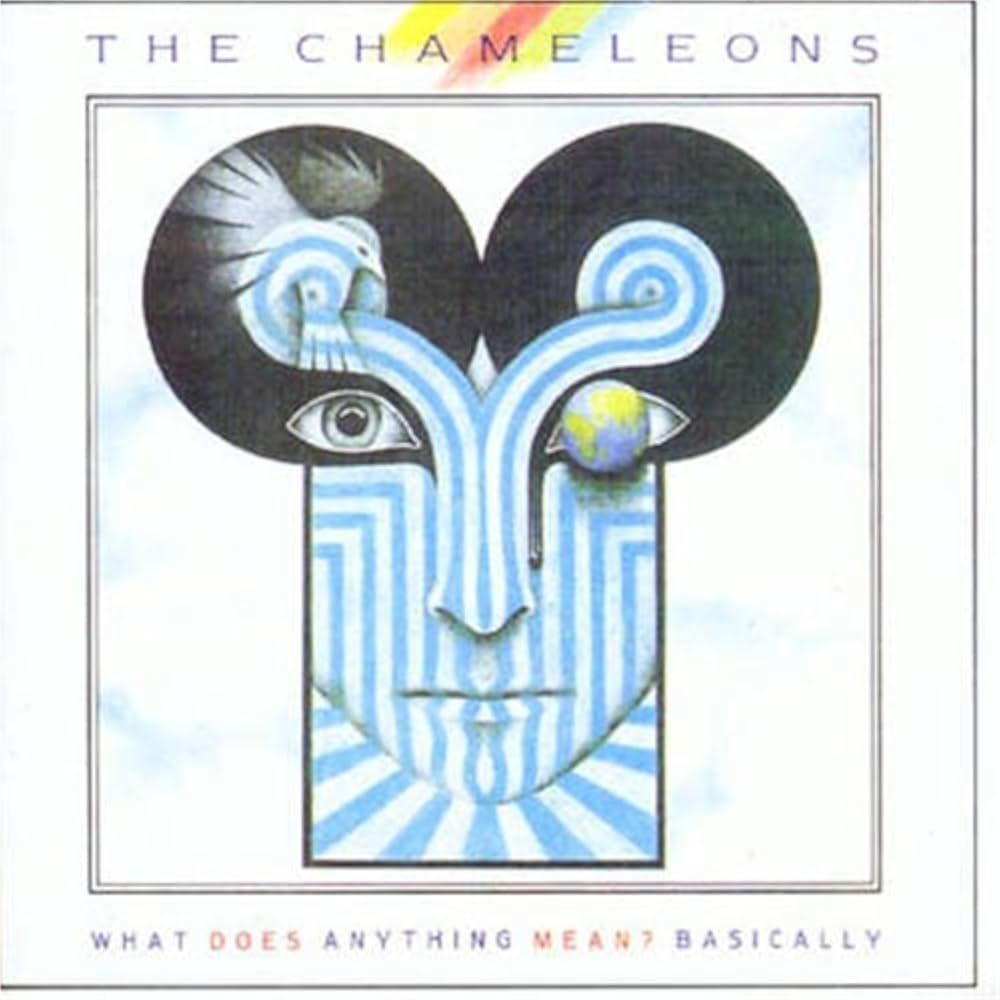 Album cover: The Chameleons - What Does Anything Mean? Basically 