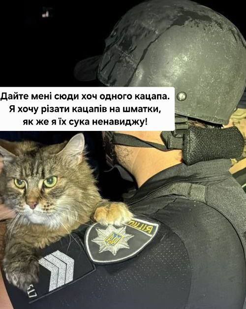 фото правоохоронця, який несе злого кота.
Дайте мені сюди хоч одного кацапа.
Я хочу різати кацапів на шматки, як же я їх сука ненавиджу!