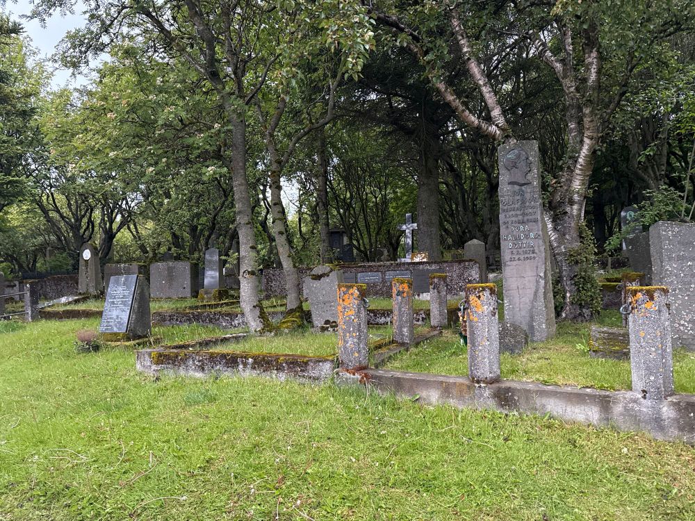 Old grave stones in a heavily-wooded graveyard in Reykjavik, Iceland. The stones are made of what looks like volcanic rock, a few tall ones and a range of smaller ones. 