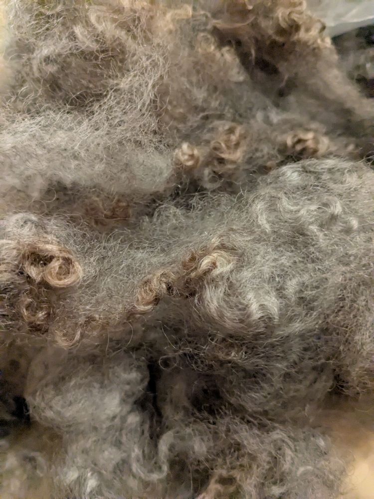Washed Romney wool 