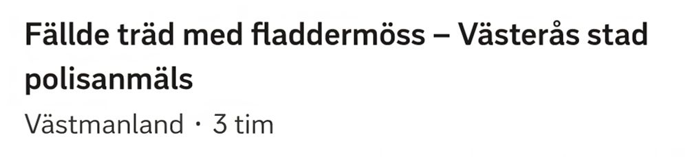 Skärmklipp från svt.se med rubrik som säger: "Fällde träd med fladdermöss - Västerås stad polisanmäls". 