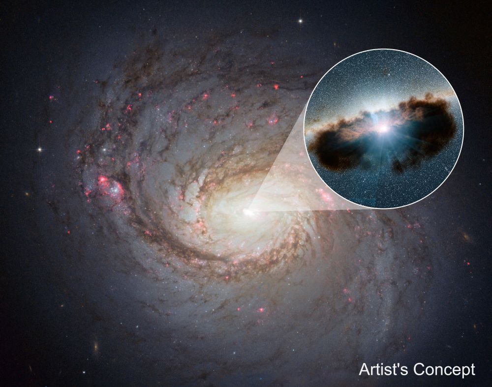 An Artist's Concept image of the Seyfert 2 galaxy NGC1068