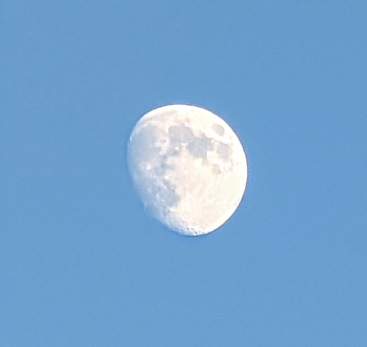 Close-up of the half moon in the blue afternoon sky.