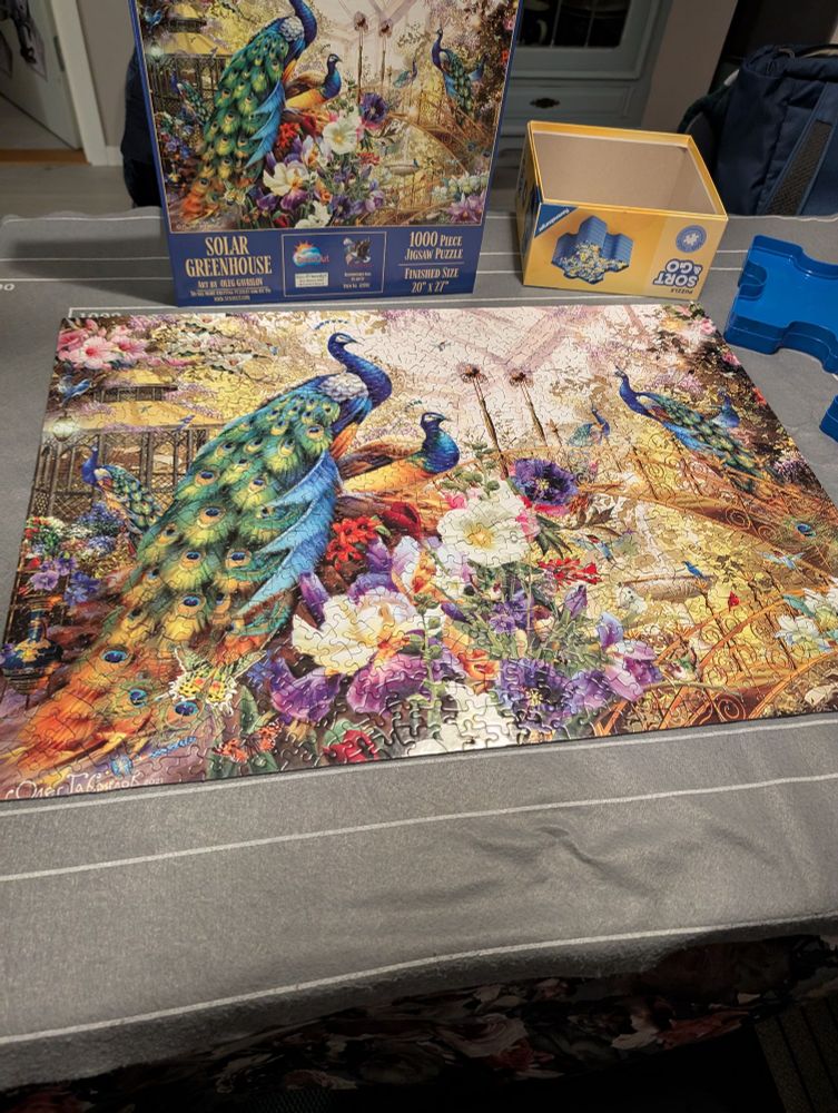 Photo of a finnished 1000 pieces puzzle with a colorful motif of several peacocks, other smaller birds and butterflies, in a large greenhouse with walkways, a bird bath with a small fountain, a gazebo and lots of flowers.
