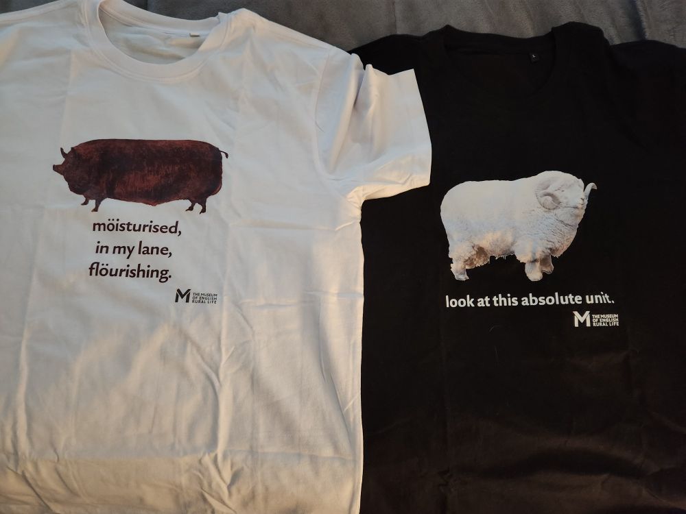 Two t-shirts from @themerl