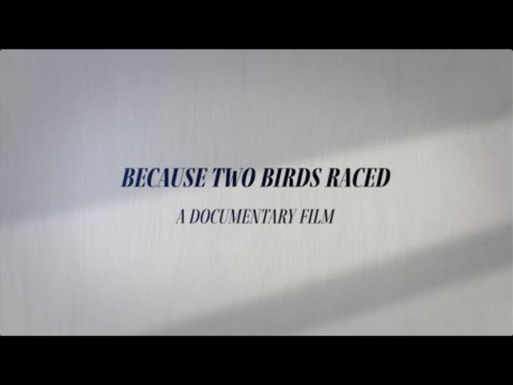 Because Two Birds Raced