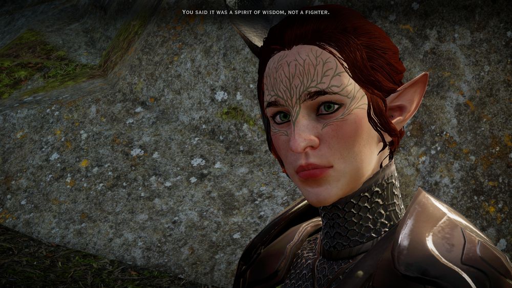Screenshot of Dragon Age Inquisition of my Inquisitor saying "You said it was a spirit of wisdom, not a fighter."