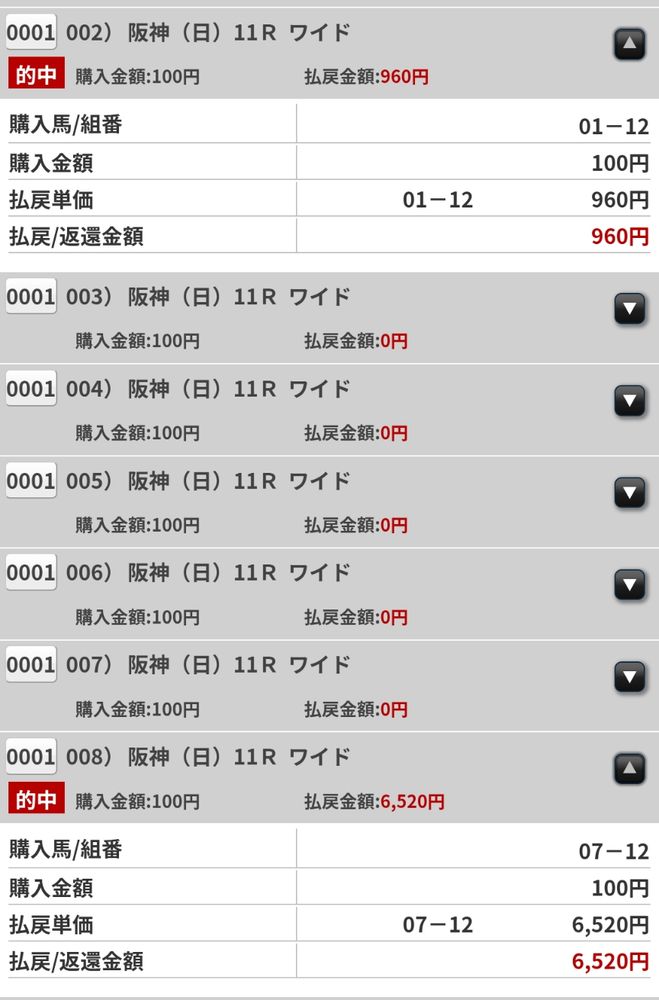 2025/06/15　阪神11R（宝塚記念）